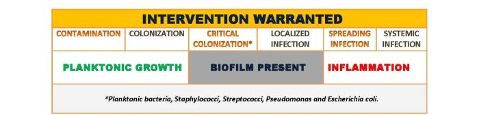 how_to_identify_a_biofilm_table_image.jpg