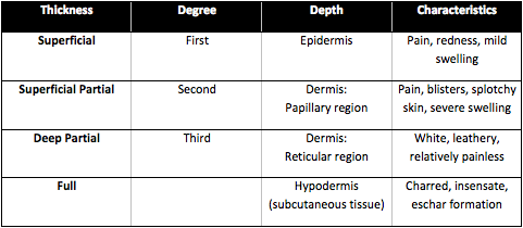 Burns Overview and Comparison